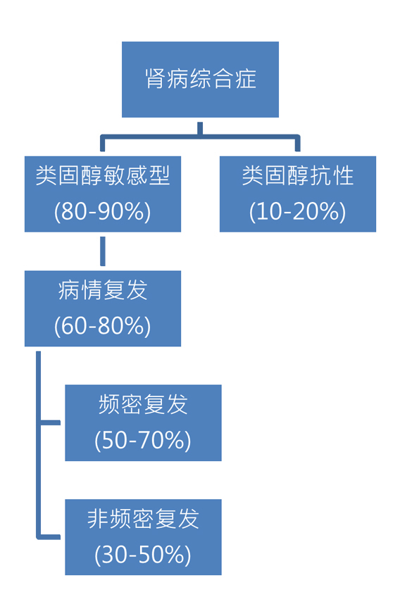 肾病综合症患者对治疗的反应